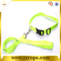 Collares de perro de nylon de la moda popular con leash